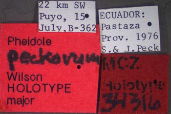 Media type: image;   Entomology 34316 Aspect: labels